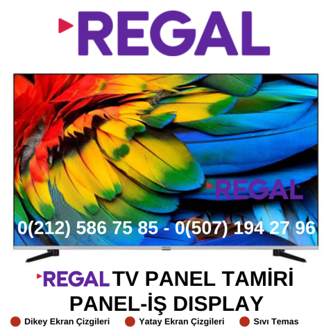 REGAL 40 İNÇ TV PANEL TAMİRİ RESİM